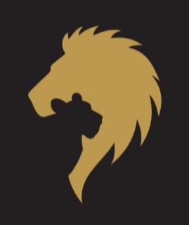 PARTNERS IN FINANCE Logo